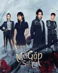 Mơ Gặp Sư Tử